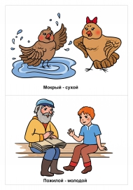 Мокрый - сухой, пожилой - молодой. Картинки для детей Мокрый - сухой, пожилой - молодой. Картинки для детей