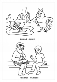 Старый - молодой, мокрый - сухой. Картинки для детей Старый - молодой, мокрый - сухой. Картинки для детей