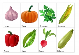 Овощи: чеснок, горох, тыква, кукуруза... Овощи: чеснок, горох, тыква, кукуруза...