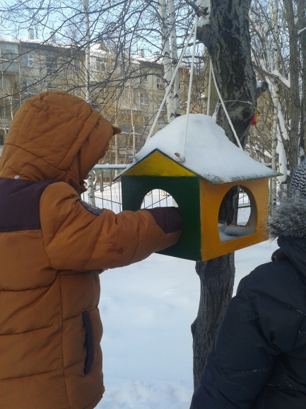 Покормите птиц зимой! Акция «Кормушка для пичужки» Покормите птиц зимой!