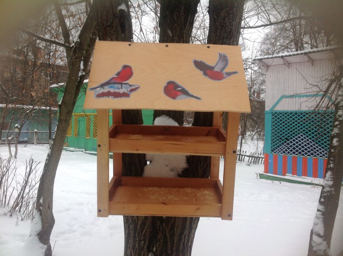 Кормушка для пичужки Акция «Кормушка для пичужки» Кормушка для пичужки