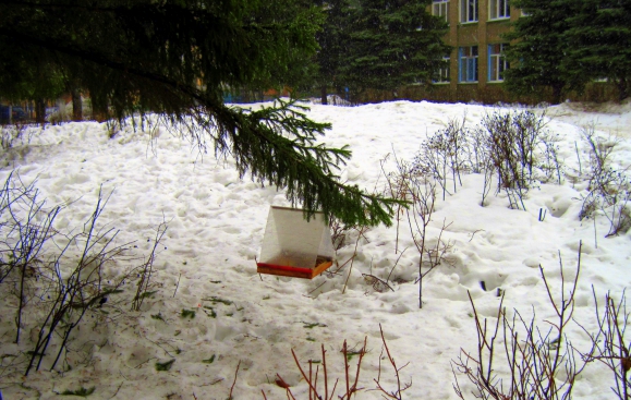 Кормушка Акция «Кормушка для пичужки» Кормушка