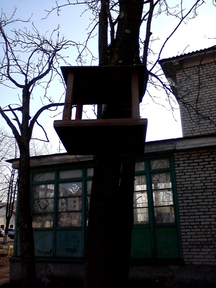 Кормушка Акция «Кормушка для пичужки» Кормушка