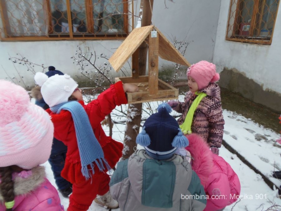 Покормим птиц зимой Акция «Кормушка для пичужки» Покормим птиц зимой