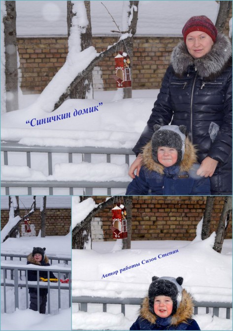 Синичкин домик Акция «Кормушка для пичужки» Синичкин домик