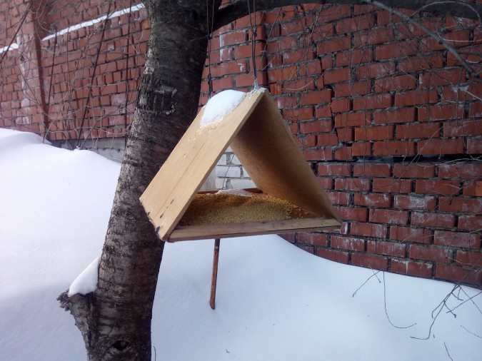 Кормушка Акция «Кормушка для пичужки» Кормушка