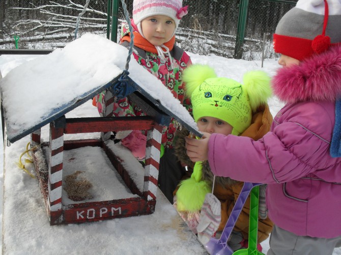 Кормушка для птичек. Акция «Кормушка для пичужки» Кормушка для птичек.
