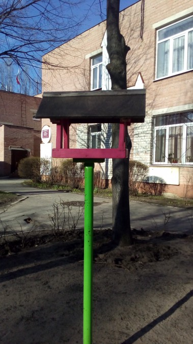 Кормушка для пичужки Акция «Кормушка для пичужки» Кормушка для пичужки