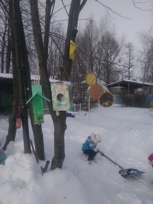 Кормушки для пичужки Акция «Кормушка для пичужки» Кормушки для пичужки