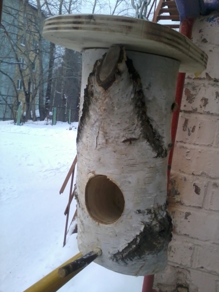 Кормушка для птиц Акция «Кормушка для пичужки» Кормушка для птиц