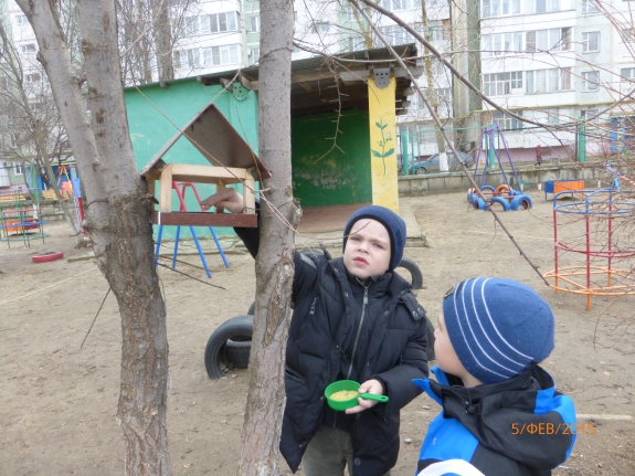 Обед для птичек Акция «Кормушка для пичужки» Обед для птичек