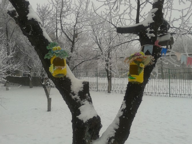 Птичий городок Акция «Кормушка для пичужки» Птичий городок