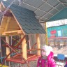 наша новая кормушка наша новая кормушка