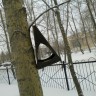 Кормушка для пичужки Кормушка для пичужки