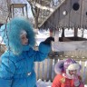 С заботой о птицах зимой С заботой о птицах зимой