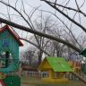 Помощь птицам Помощь птицам