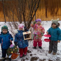 Птичкина столовая Птичкина столовая