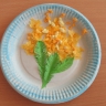 Брызги солнышка Брызги солнышка