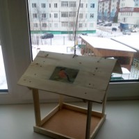 Столовая для птичек Столовая для птичек