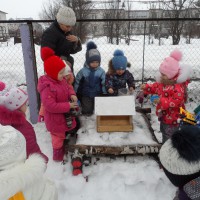 Покормим птиц зимой Покормим птиц зимой