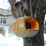 Самая съедобная кормушка Самая съедобная кормушка