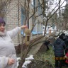 Кормушка для пичужки Кормушка для пичужки