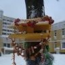 "Птичья столовая" "Птичья столовая"