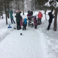 «Столовая для птиц» «Столовая для птиц»