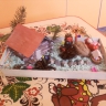 Русская народная сказка "Кот, петух и лиса" Русская народная сказка "Кот, петух и лиса"