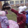 Кормим птичек Кормим птичек