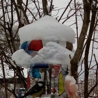 Синичкина столовая Синичкина столовая