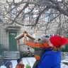 Пусть пернатые снуют, наши зёрнышки клюют... Пусть пернатые снуют, наши зёрнышки клюют...