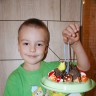 Птичий дом Птичий дом