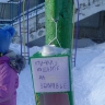 "Кормушка для друзей" "Кормушка для друзей"