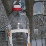 Сашина кормушка Сашина кормушка