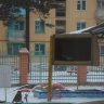 Столовая для птиц. Столовая для птиц.