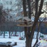 кормушка для птиц кормушка для птиц