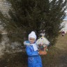 Кормушка для птичек Кормушка для птичек
