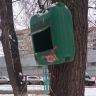 кормушка для наших зимующих пернатых друзей кормушка для наших зимующих пернатых друзей