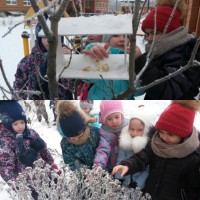 Подкормим птиц в кормушке! Подкормим птиц в кормушке!