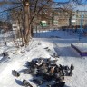"птичья столовая" "птичья столовая"