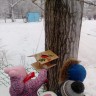 "Кормушка" "Кормушка"