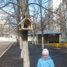 птичий ресторан птичий ресторан
