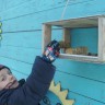 Покормите пернатых друзей. Покормите пернатых друзей.