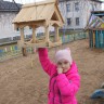 Ксюшкина кормушка для пичужки Ксюшкина кормушка для пичужки