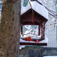 "Кормужка для пичужки" "Кормужка для пичужки"