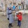 Кормушка своими руками Кормушка своими руками