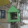 кормушка для пичужки кормушка для пичужки