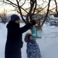 Птичья столовая Птичья столовая