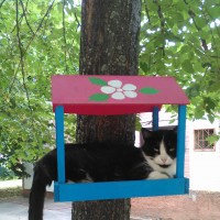 "Каждой пичужки - кормушка" "Каждой пичужки - кормушка"